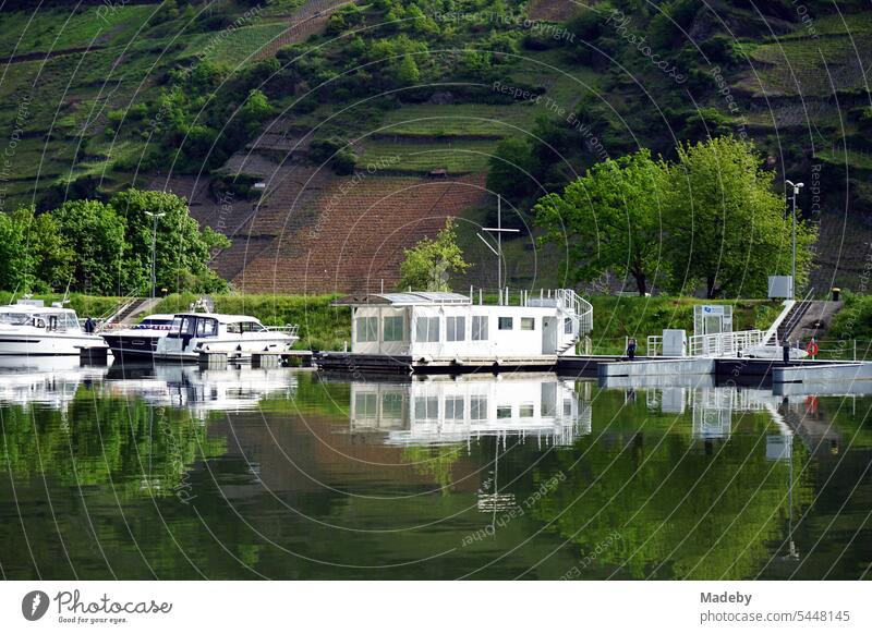Houseboat, boats and yachts in summer in marina on the Moselle between vineyards in Traben-Trarbach in Rhineland-Palatinate in Germany Harbour ship jetty