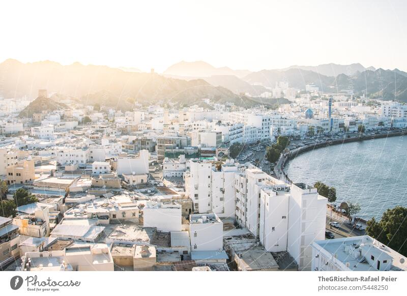 View of Muscat (Oman) from above Nutmeg Town Arabian Peninsula houses oriental ornaments Architecture Building style Tourism Day House (Residential Structure)