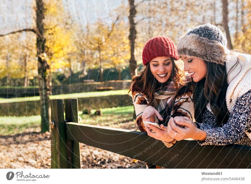 Two pretty women using smartphone in an autumnal forest female friends woman females beautiful Smartphone iPhone Smartphones woods forests fall use mate