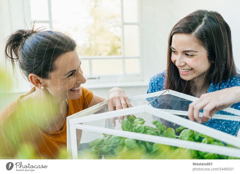 Two women caring for herbs in glass box smiling smile woman females Herbs Adults grown-ups grownups adult people persons human being humans human beings Plant