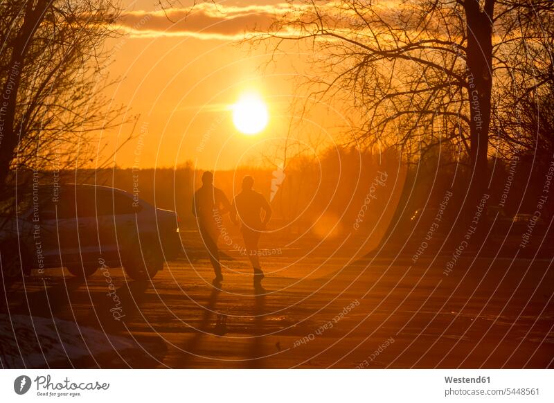 Silhouette of two joggers in winter at sunset exercising exercise training practising Jogging running fitness sport sports hibernal athlete sportswoman athletes