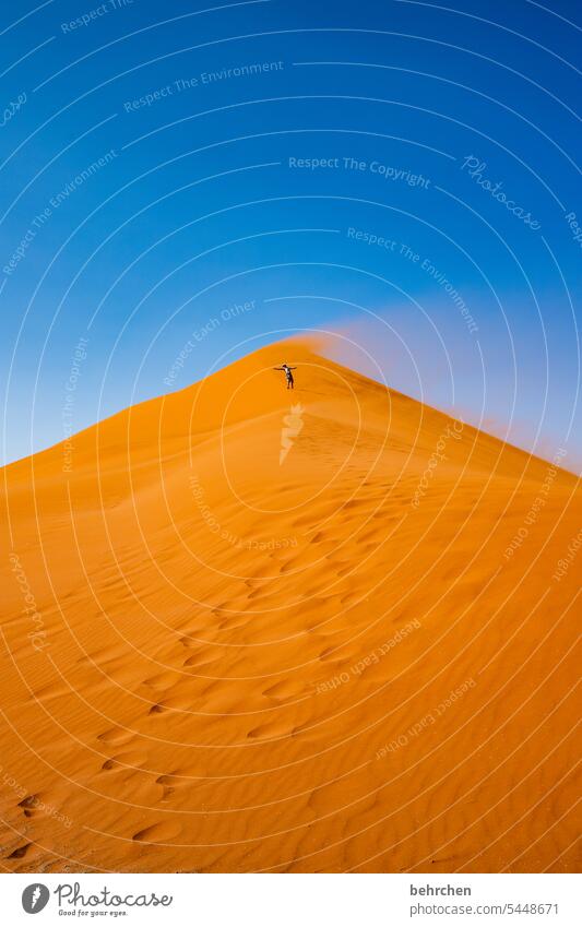 wind misalignment Dune 45 on one's own Man Human being Sandstorm Sossusvlei Namibia Far-off places Africa Desert dune 45 Sesriem Wanderlust travel Colour photo
