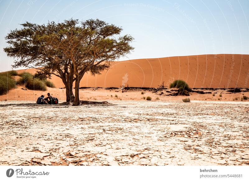 helpful | shady spot Transience Climate change Environment Dry Drought Sky duene dunes deadvlei sand dune Impressive especially Warmth Adventure Landscape