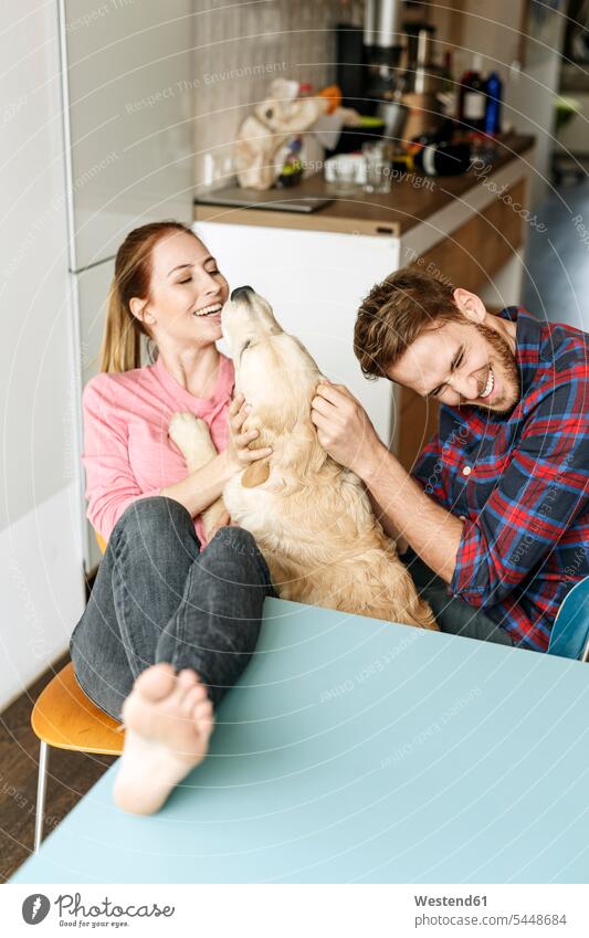Happy young couple playing with dog at home dogs Canine happiness happy twosomes partnership couples pets animal creatures animals people persons human being