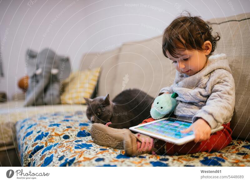 Baby girl sitting on couch watching videos on a tablet with a cat baby girls female video film digitizer Tablet Computer Tablet PC Tablet Computers iPad