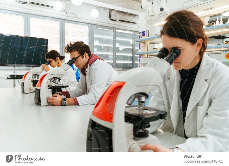 Laboratory technicians using microscopes in lab laboratory technician Lab Tech examining checking examine working At Work science sciences scientific