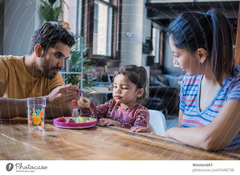 Mother and father feeding their little daughter in kitchen family families Fruit Fruits eating people persons human being humans human beings Food foods