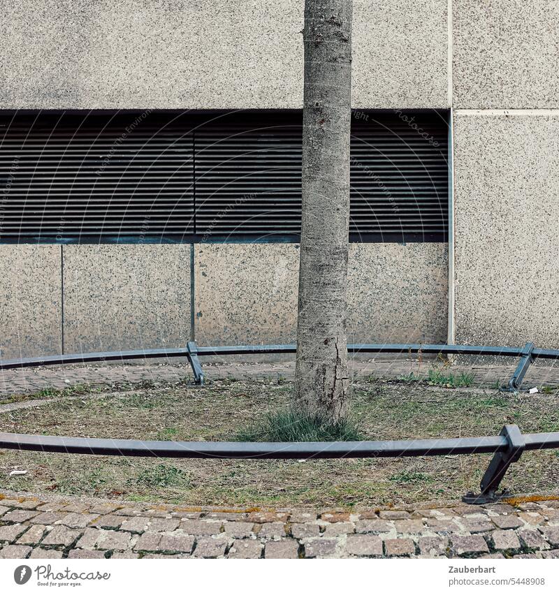 Tree trunk surrounded by railing, in front of gray facade with ventilation grille Facade Gray Ventilation Grating Ring Steel Town pavement Gloomy bleak useless