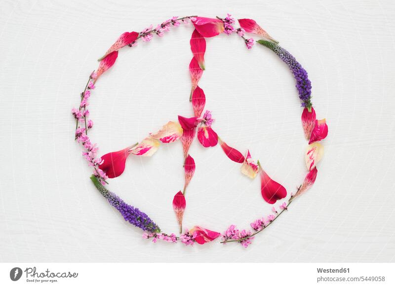 Various petals shaping peace sign on white ground Arrangement Positioning Positionings Arrangements Petal Petals flower petal flower petals Idea Ideas