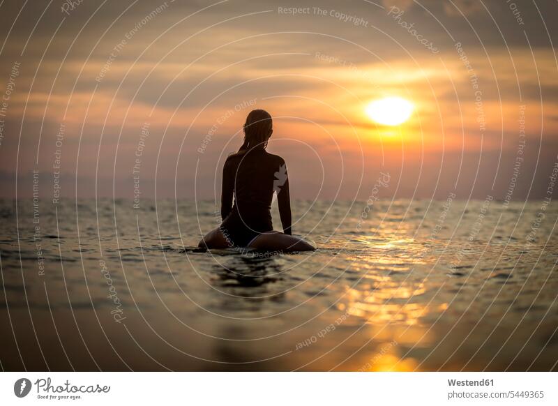 Indonesia, Bali, female surfer in the ocean at sunset Sea woman females women surfing surf ride surf riding Surfboarding water Adults grown-ups grownups adult