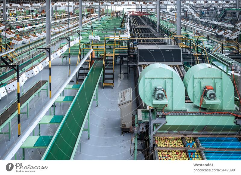 Machines in apple factory industry industrial machine automation conveyor belt Conveyor Belts food processing plant Incidental people People In The Background