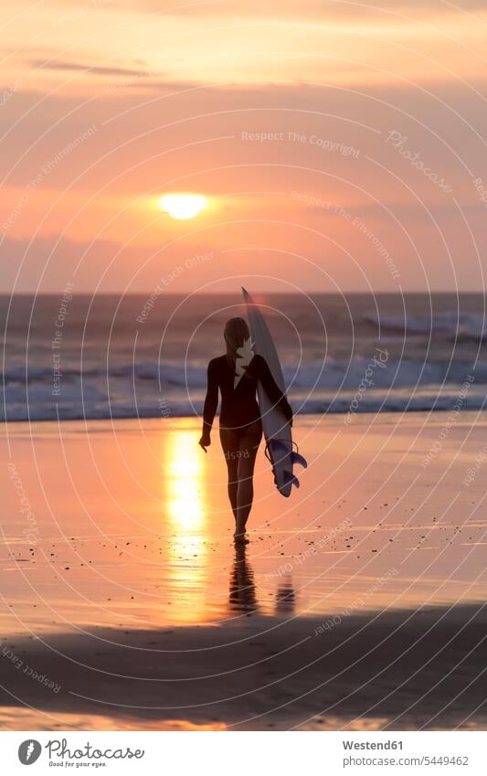 Indonesia, Bali, young woman with surfboard at sunset evening in the evening silhouette silhouettes leisure free time leisure time walking going surfer
