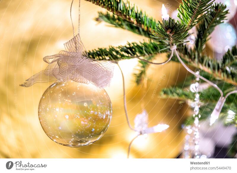 Fir branch with transparent Christmas bauble, close-up still life still-lifes still lifes fairy lights string light faerie light faerie lights shine shining