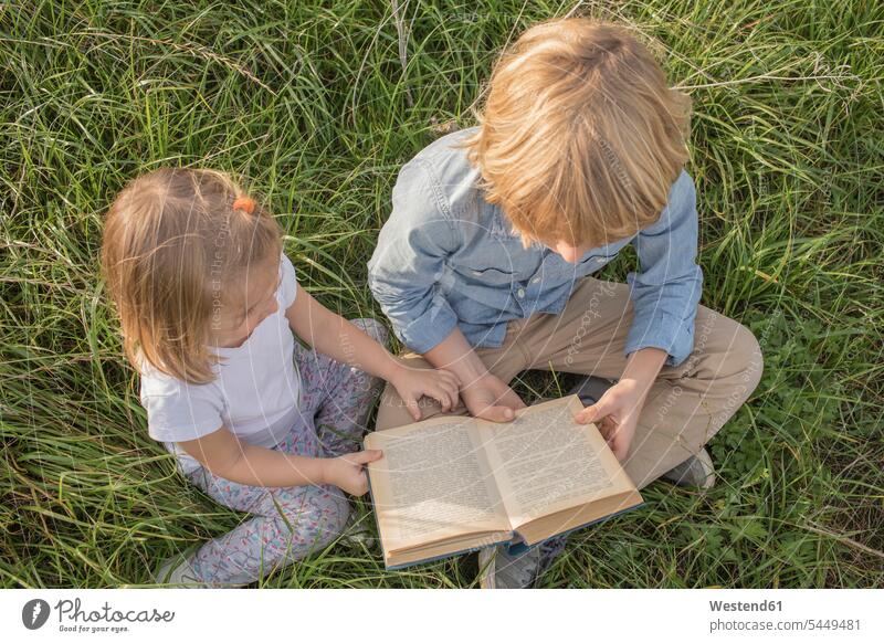 Brother and his little sister sitting on a meadow reading a book, top view books Seated meadows brother brothers siblings brother and sister