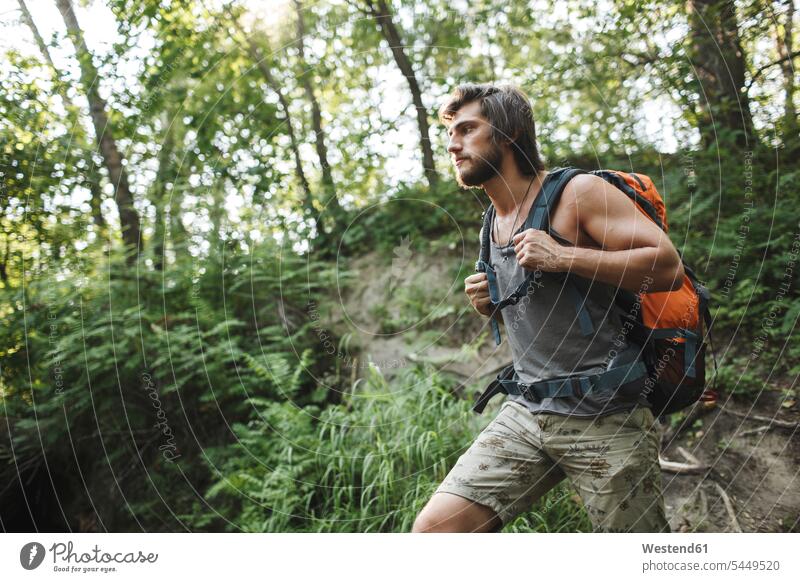 Young man hiking in forest hiker wanderers hikers woods forests men males Adults grown-ups grownups adult people persons human being humans human beings nature