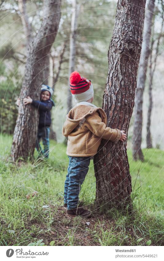 Two boys playing in forest woolly hat Wooly Hat Knit-Hat Knit Hats wool cap brother brothers Tree Trunk Tree Trunks males hats caps siblings brother and sister