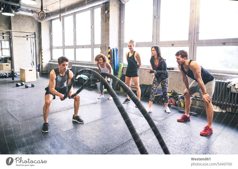 Group of young fit people cheering at man exercising with ropes in gym exercise training practising gyms Health Club fitness sport sports Fitness training