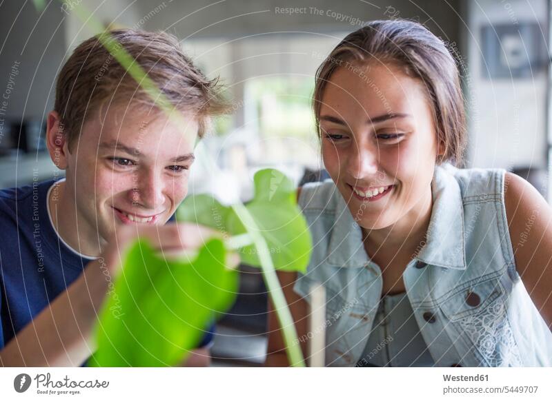 Boy and girl examining plant learning smiling smile student pupils schoolchildren education home at home friends mate day daylight shot daylight shots day shots