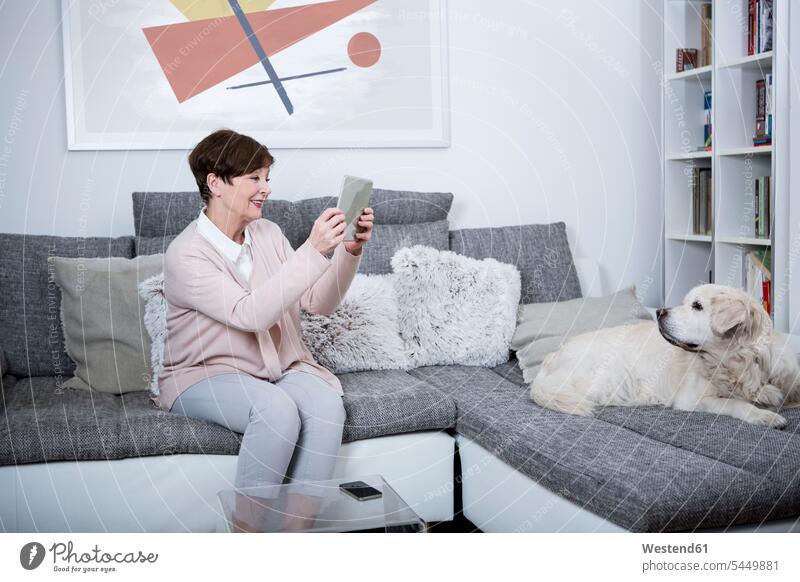 Senior woman sitting on couch taking pictures of her dog females women Seated tablet digitizer Tablet Computer Tablet PC Tablet Computers iPad Digital Tablet