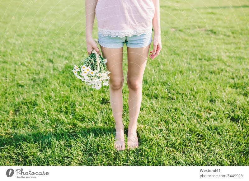 Woman standing on a meadow holding bunch of daisies, partial view woman females women meadows leg legs human leg human legs Adults grown-ups grownups adult