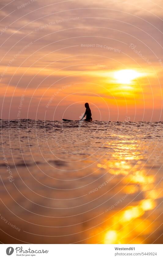 Indonesia, Bali, female surfer in the ocean at sunset woman females women Sea surfing surf ride surf riding Surfboarding Adults grown-ups grownups adult people