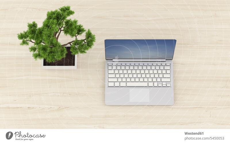 3D Rendering, Laptop on desk with bonsai tree nobody Connection connected Connections connectivity laptop Laptop Computers laptops notebook simplicity simple