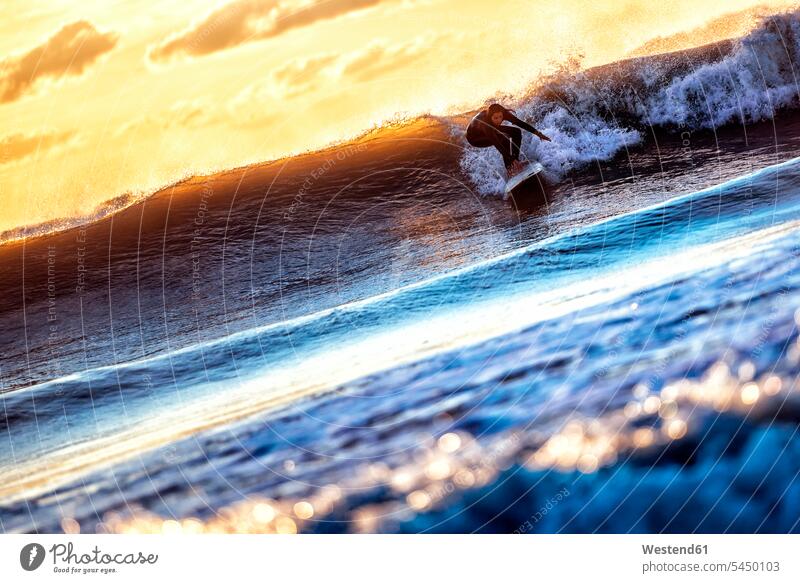 Young woman surfing in the sea at sunset surfer female surfer surfers female surfers surf ride surf riding Surfboarding water sports Water Sport aquatics