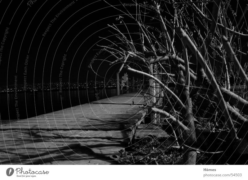 footbridge Night Exterior shot Calm Bushes Black & white photo