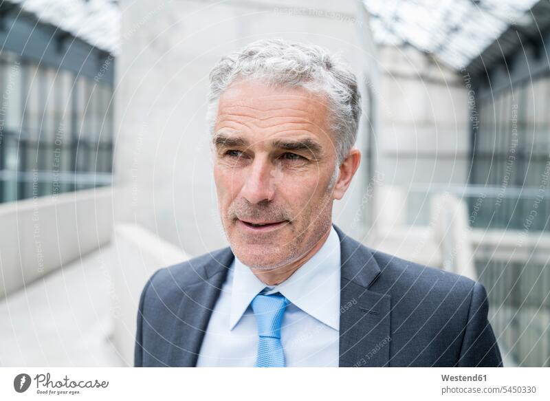 Portrait of a mature businessman caucasian caucasian ethnicity caucasian appearance european suit Fullsuit suits full suit expertise competence competent
