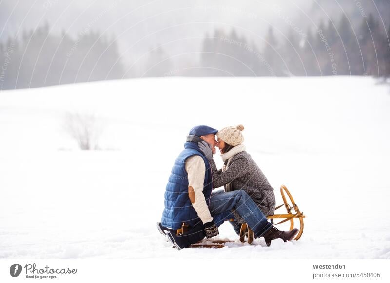 Happy senior couple sitting face to face on sledge in winter landscape twosomes partnership couples people persons human being humans human beings rubbing noses