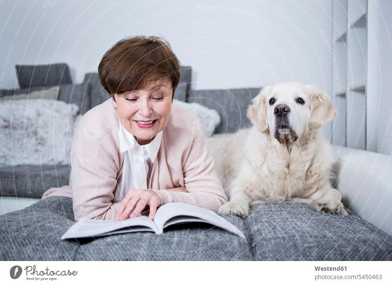 Senior woman lying on couch, reading book with dog by her side laying down lie lying down females women books cozy sociable comfortable cosy learning