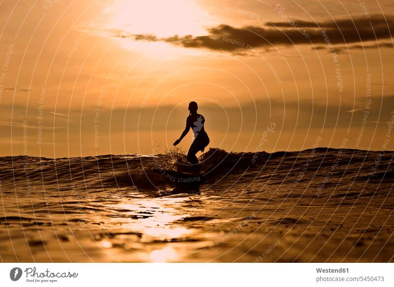 Indonesia, Bali, silhouette of woman surfing at sunset Sea ocean wave waves surf ride surf riding Surfboarding females women water water sports Water Sport