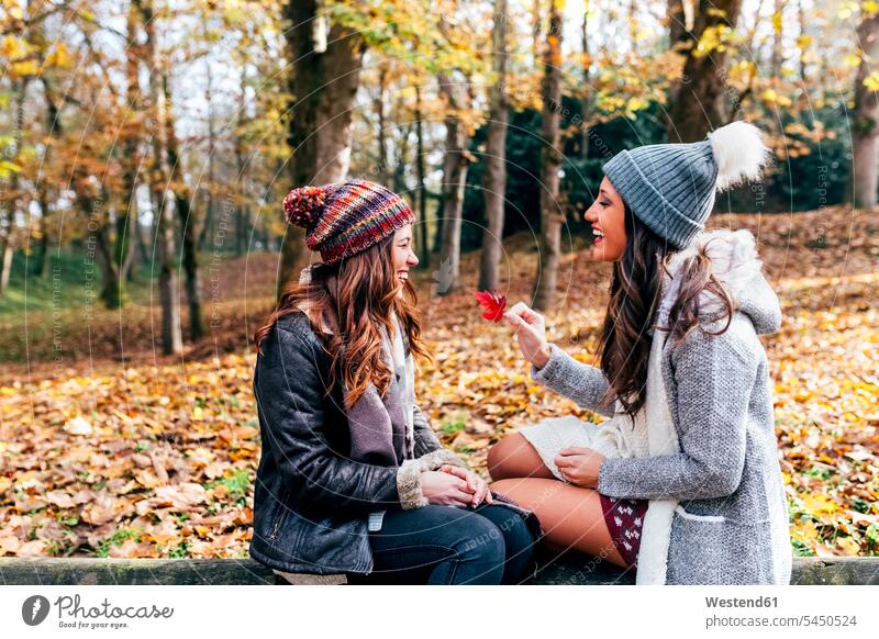 Two pretty women having fun in an autumnal forest female friends fall woods forests woman females beautiful Fun funny mate friendship Adults grown-ups grownups