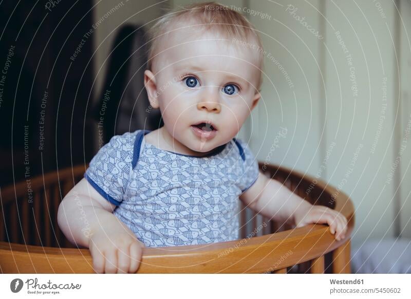 Portrait of baby boy standing in his crib portrait portraits baby boys male babies infants people persons human being humans human beings Cot children's bed