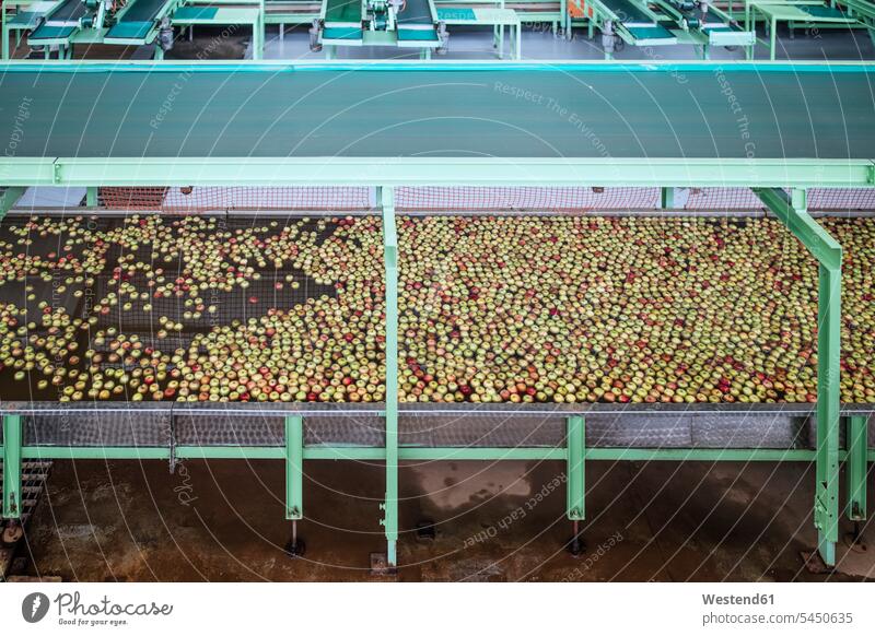 Apples in factory being washed cleaning food industry machine automation food processing plant elevated view High Angle View High Angle Shot healthy eating