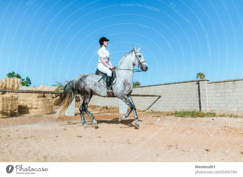 Young woman riding on horse horse riding equistry equitation Equestrian horseback riding rider riders female rider horsewoman female rides horsewomen