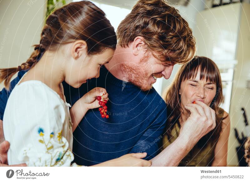 Parents and daughter tasting redcurrants Fun having fun funny daughters family families child children people persons human being humans human beings Berry