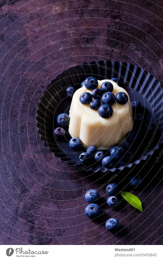 Custard with blueberries in cake tin Plate dish dishes Plates sweet Sugary sweets prepared garnished ready to eat ready-to-eat blueberry bilberry bilberries