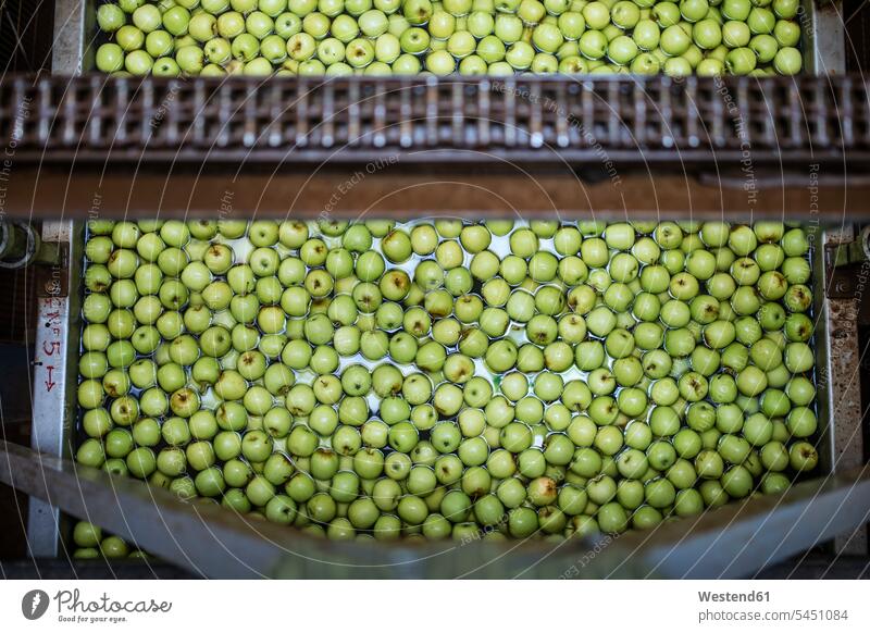 Green apples in factory being washed cleaning merchandise merchandises goods food industry machine automation food processing plant elevated view