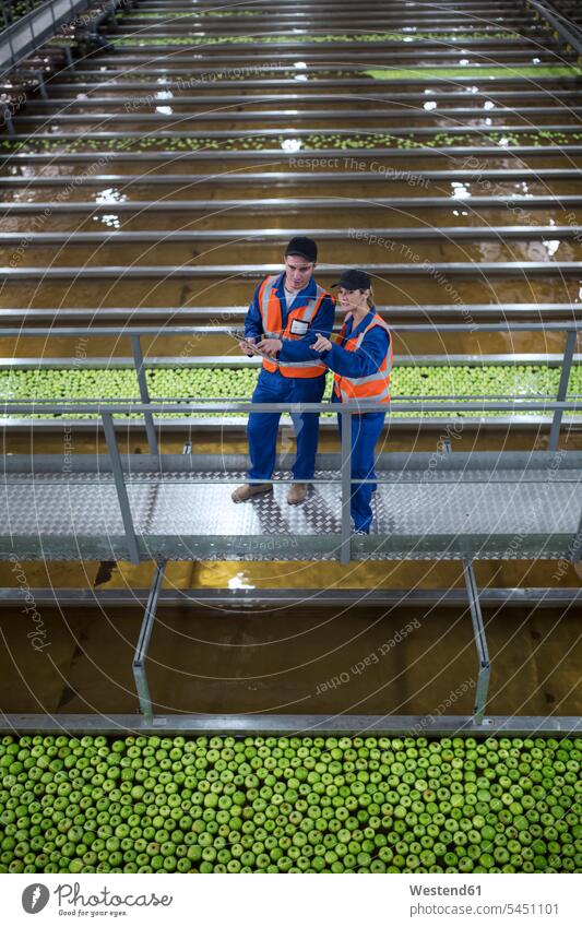 Man and woman wearing reflective vests in apple factory colleagues Apple Apples reflector-vest reflector vest Fruit Fruits Food foods food and drink Nutrition