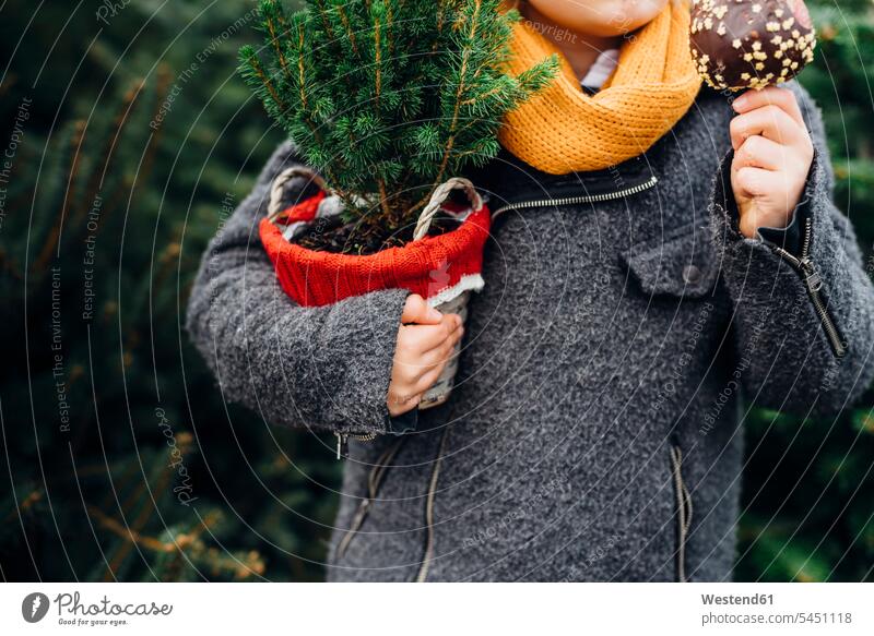 Happy boy preparing for Christmas , holding potted tree, eating chocolate dipped apple Northern European Ethnicity Christmas tree Christmas trees Germany Sweets