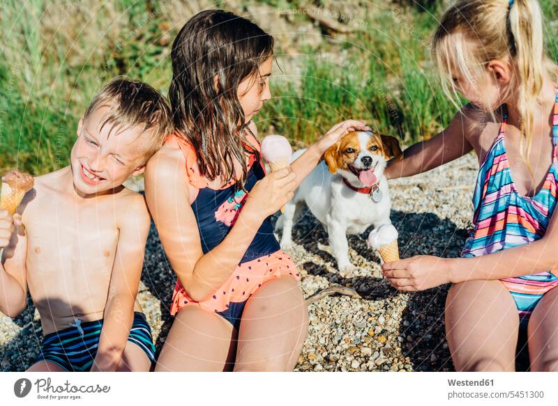 Three children eating icecream and playing with dog on the beach friends dogs Canine friendship pets animal creatures animals Sweet Food sweet foods
