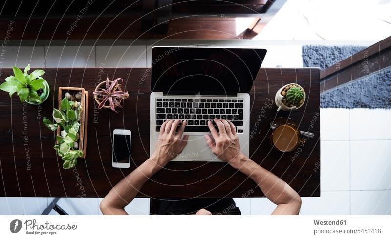 Overhead view of woman using laptop with cell phone and plants on wooden table Plant Plants females women mobile phone mobiles mobile phones Cellphone