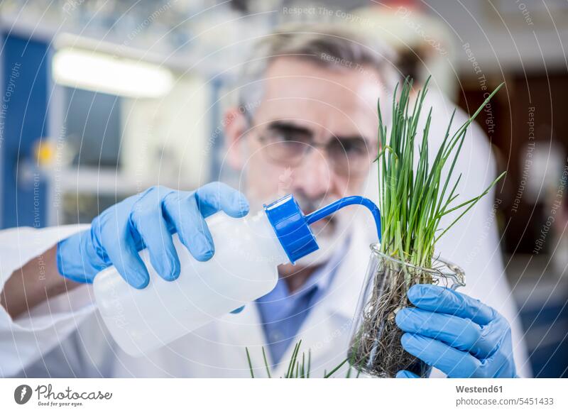 Scientist in lab watering plant science sciences scientific scientist laboratory Plant Plants workplace work place place of work one person 1 one person only