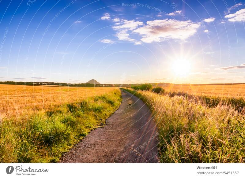 UK, Scotland, East Lothian, dirt track in between fields of barley at sunset copy space tranquility tranquillity Calmness evening light Cereal Cereals grain day