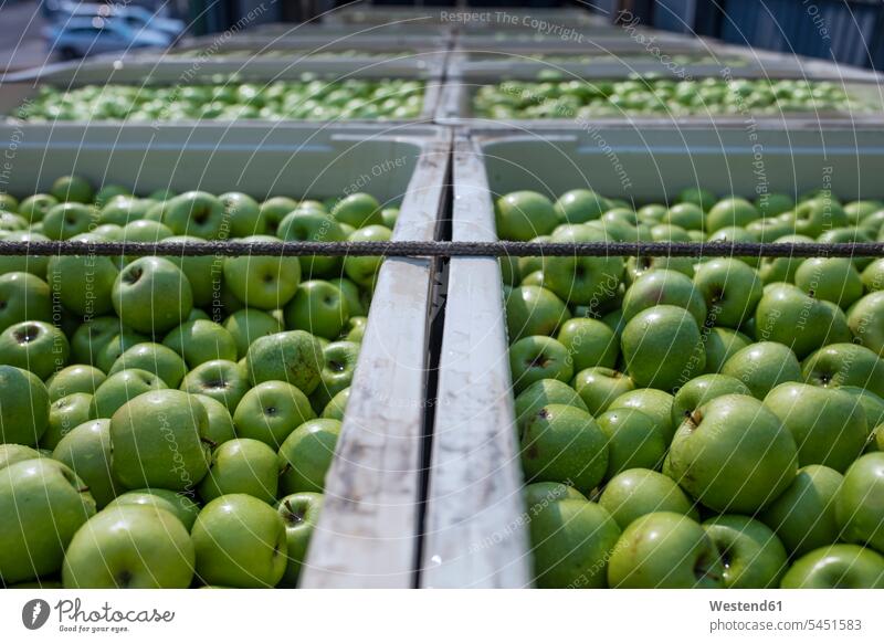 Green apples in crates on truck food and drink Nutrition Alimentation Food and Drinks green apple green apples industry industrial outdoors outdoor shots