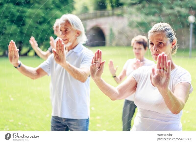 Group of seniors doing Tai chi in a park senior adults old training Sport Training group of people groups of people Taijiquan fitness training partner
