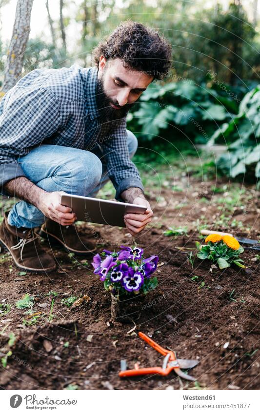 Man taking photographs with a tablet of flowers planted in garden gardens domestic garden gardener gardeners digitizer Tablet Computer Tablet PC