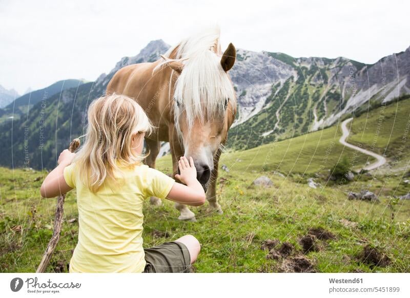 Austria, South Tyrol, young girl with horse on meadow Adventure adventurous Adventures equus caballus horses trusting confiding confidingness meadows