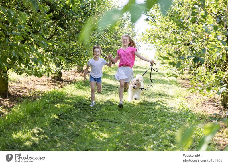 Two happy sisters running with dog on meadow meadows garden gardens domestic garden dogs Canine girl females girls happiness siblings brother and sister